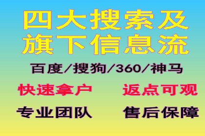 Sem优化公司案例：精准广告投放策略解析